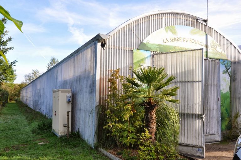 Case study biomass 08 picture